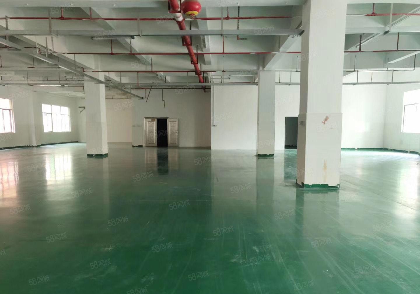 固戍宝安大道旁大型厂房出租1500平大小可分