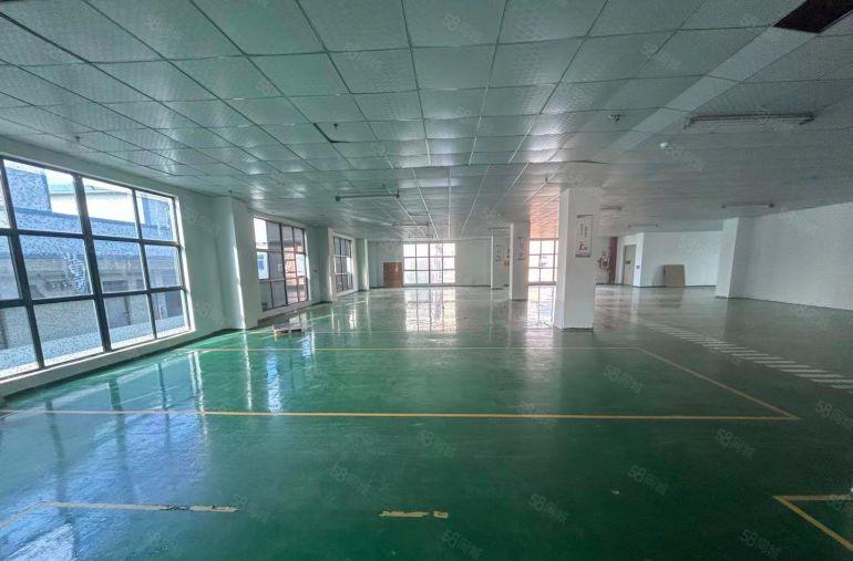 小面积办公室电商仓库分租 石岩石龙仔独院厂房出租20000平