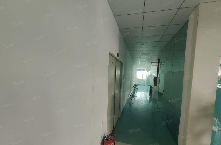 沙井450平厂房仓库出租精装修带前台园区停车位充足形象好
