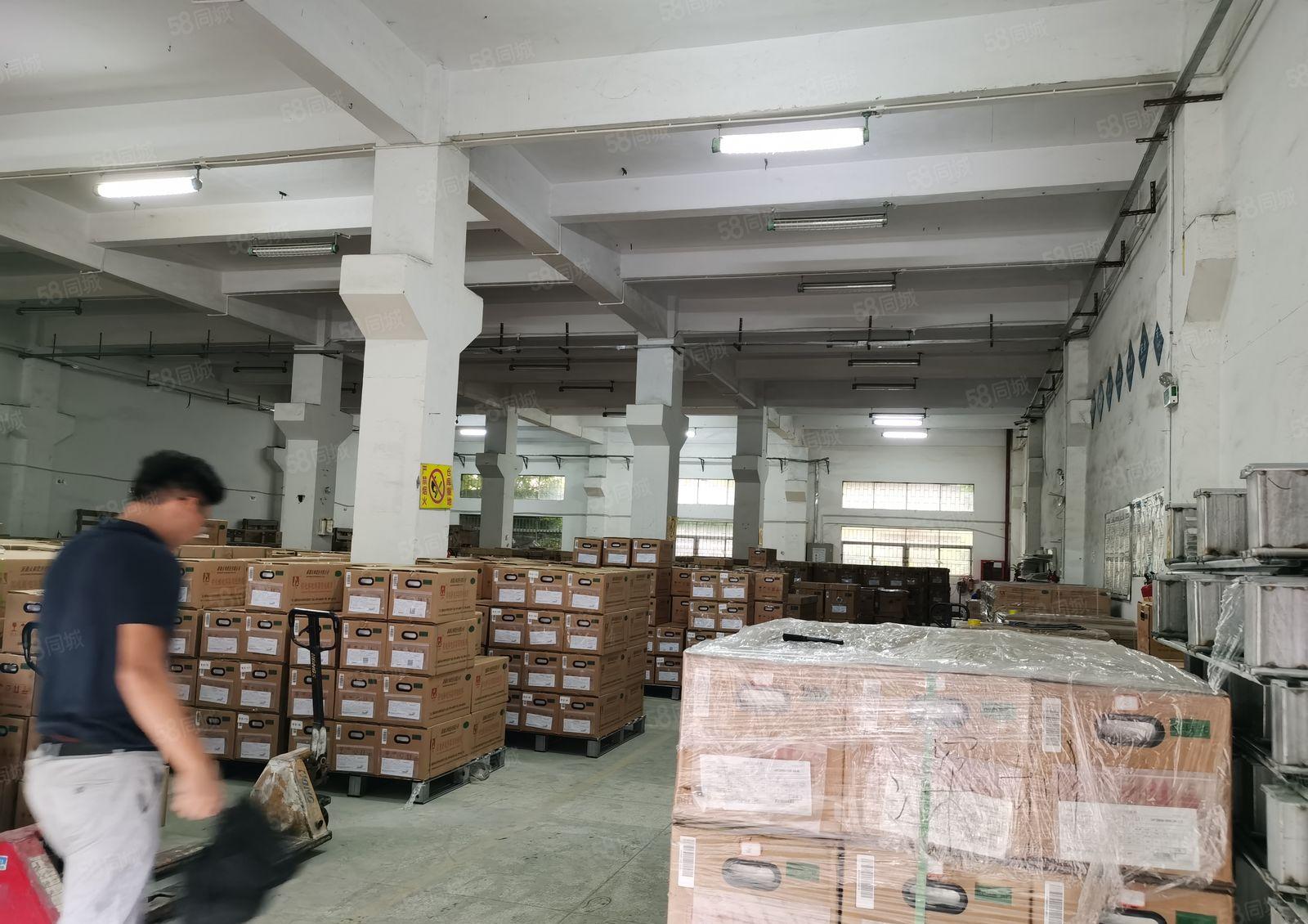 沙井新桥高速旁附近独门独院8000招租 全新出租带精装修