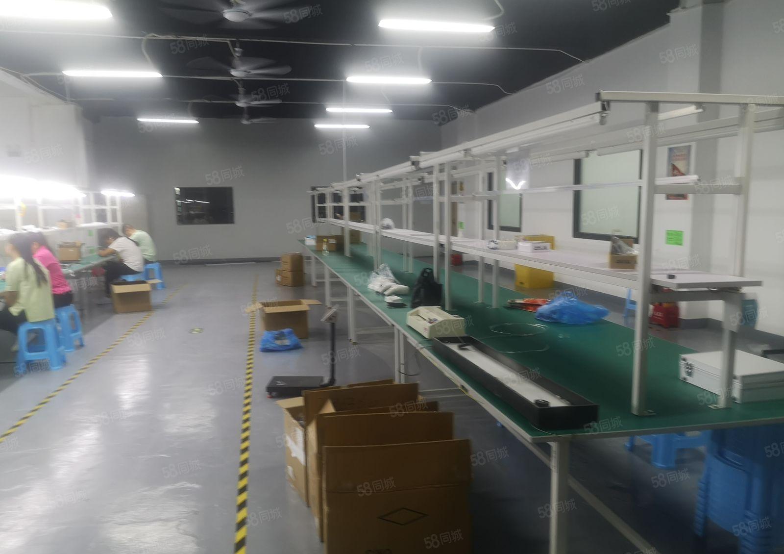 福永凤凰新出豪华装修楼上1380平米厂房出租