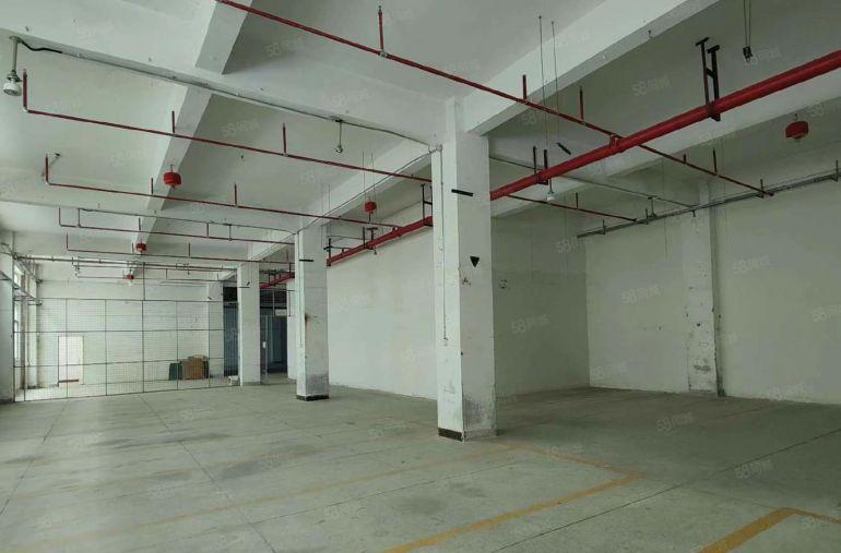 30元每平！实惠实用靓装1楼860平层高5.3米货车出入无忧