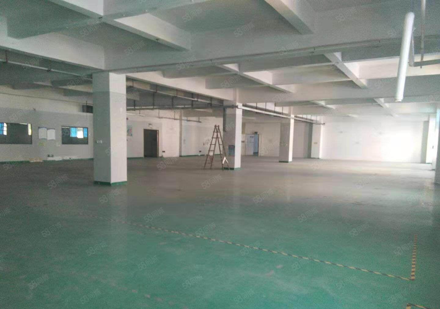 沙井107国道边原房东红本独院厂房3200平方