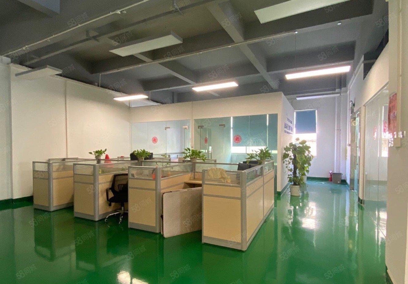 沙井高新园区1000平原房东精装一楼二楼仓库出租红本厂房出租