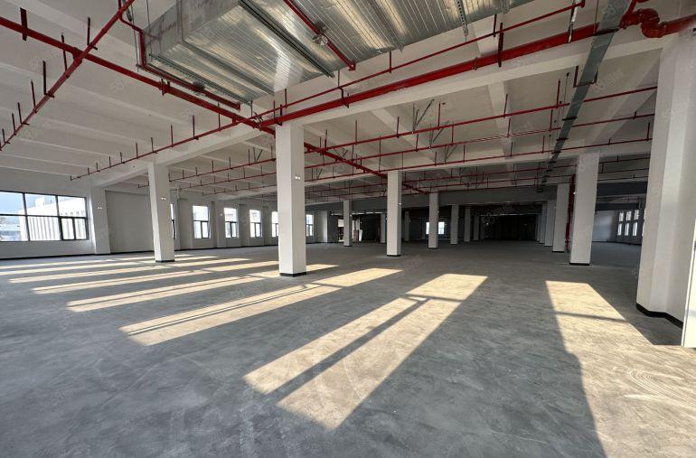 新和桥头塘尾独门独院厂房4800平方出租500起分租