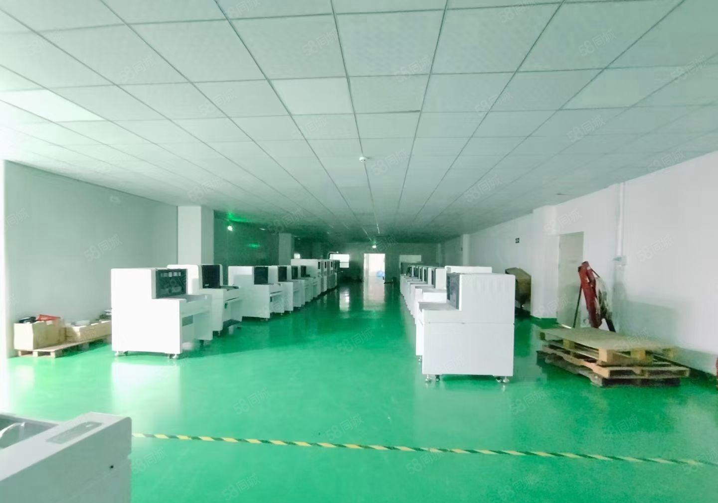 福永凤凰山脚下楼上1000平米精装修厂房出租招租分租独院仓库