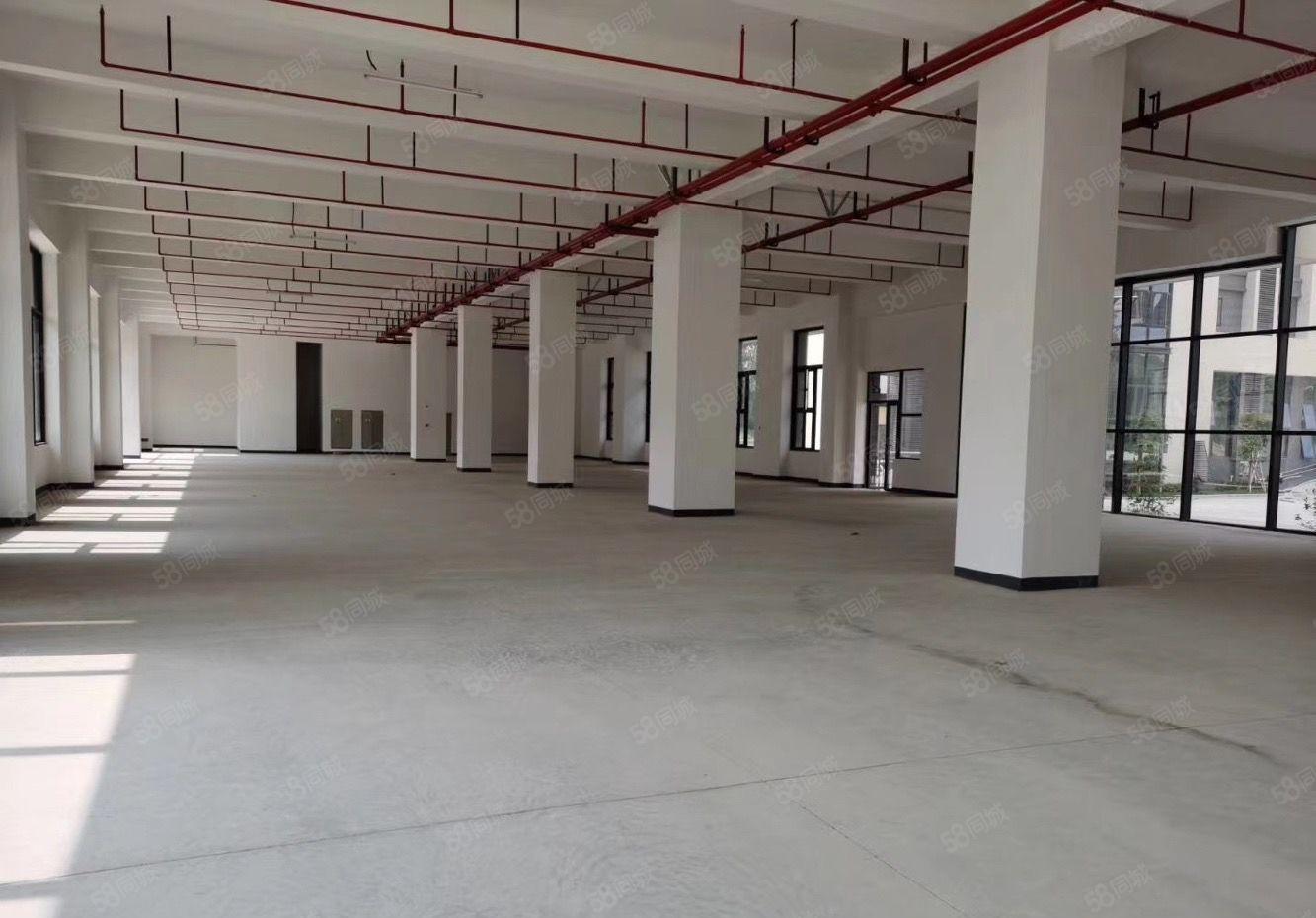 福永桥头新出原房东独门独院15000平方厂房招租