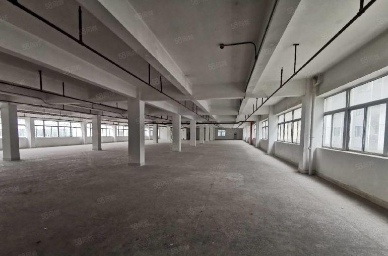 石岩料坑工业园精装修原房东厂房出租1500平无公摊大小可分