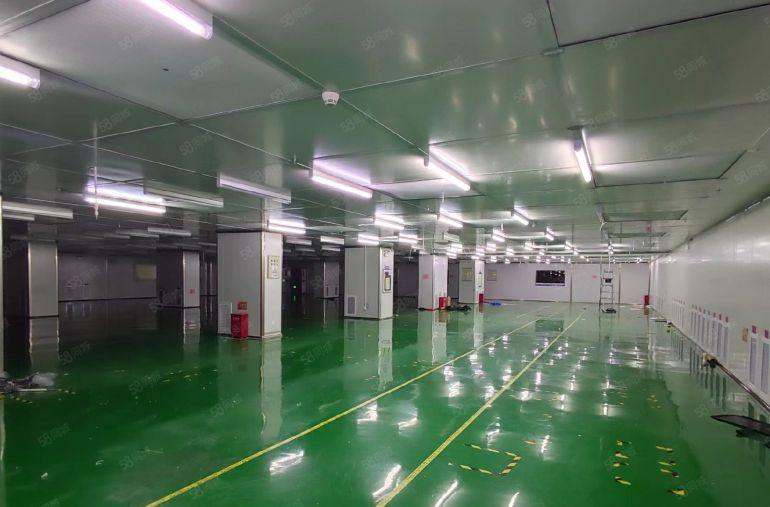 石岩北环独门独院独栋9000平村委厂房出租精装修无尘车间红本