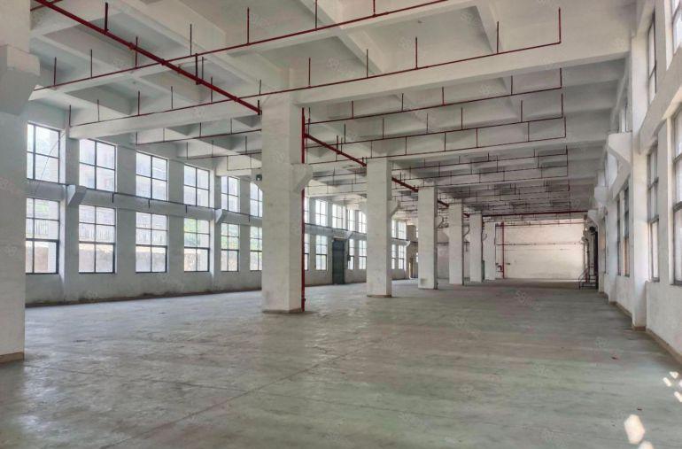 西乡电改园区原房东独院23000平一楼高6米电子厂房仓库出租