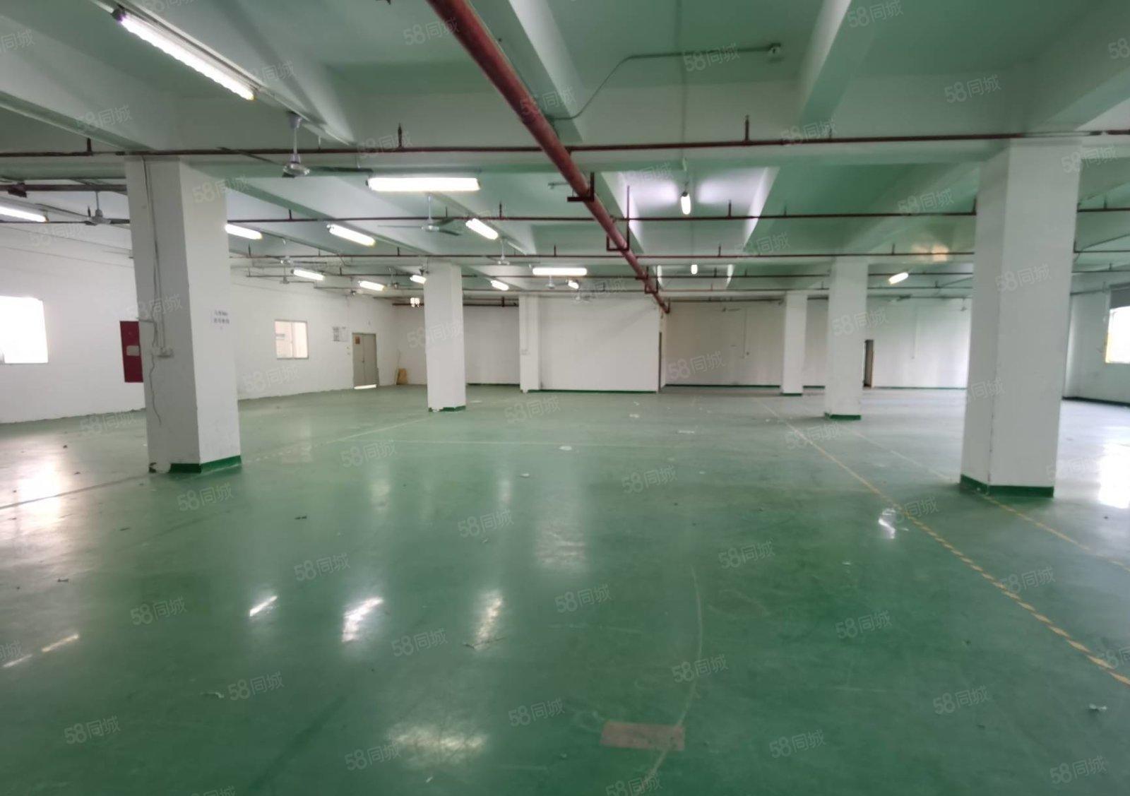 石岩新出楼上900平原房东精装修厂房出租可分租