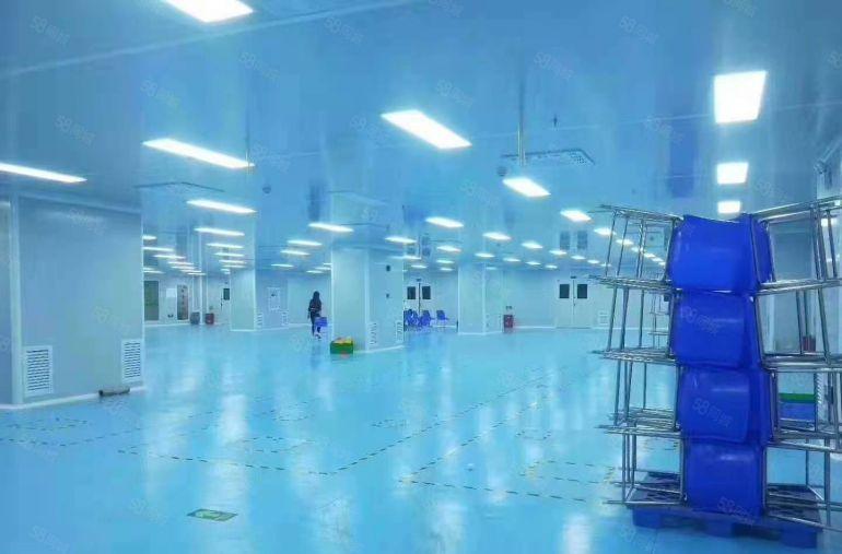 1500平松岗无尘车间厂房出租带装修千级过环评领包入住低价招