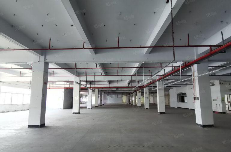 福永和平会展中心8000平独门独院原房东红本工业厂房低价出租