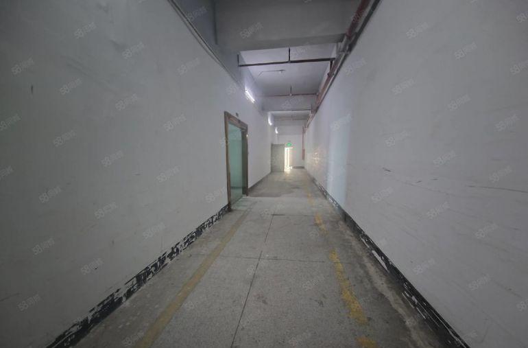 西乡流塘电商基地精装修厂房出租200平方起分有客梯有货梯