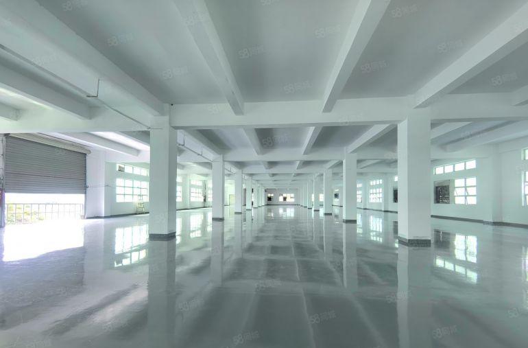 西乡九围2000平一层全新地坪漆大小分租原房东独门独院空地大