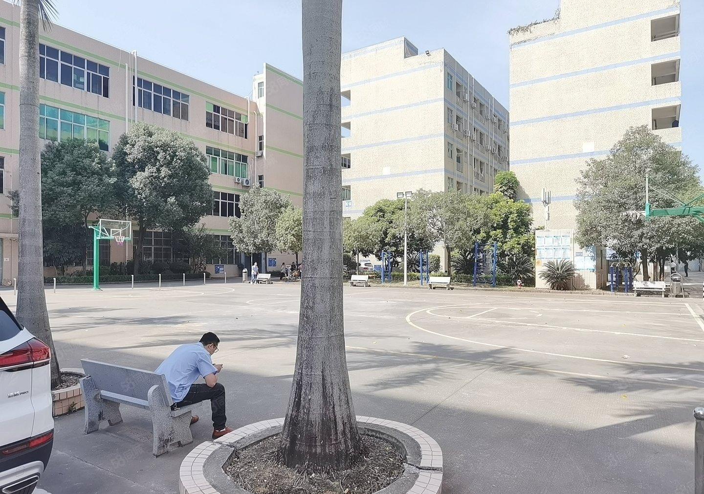 松岗原房东一楼1780平米高是米可办环保