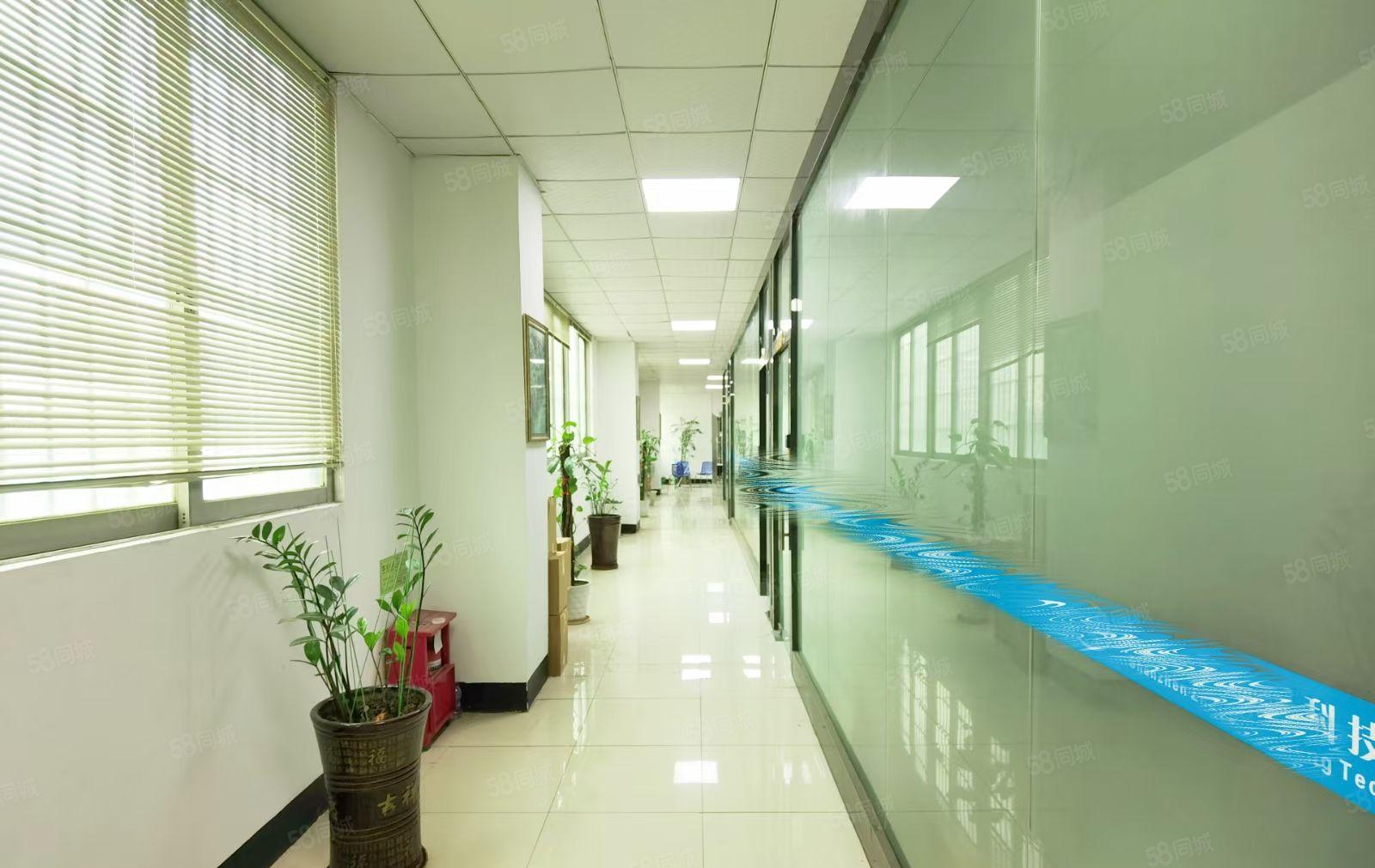 沙井西环路刚出900平方带流水线厂房出租不要转让费