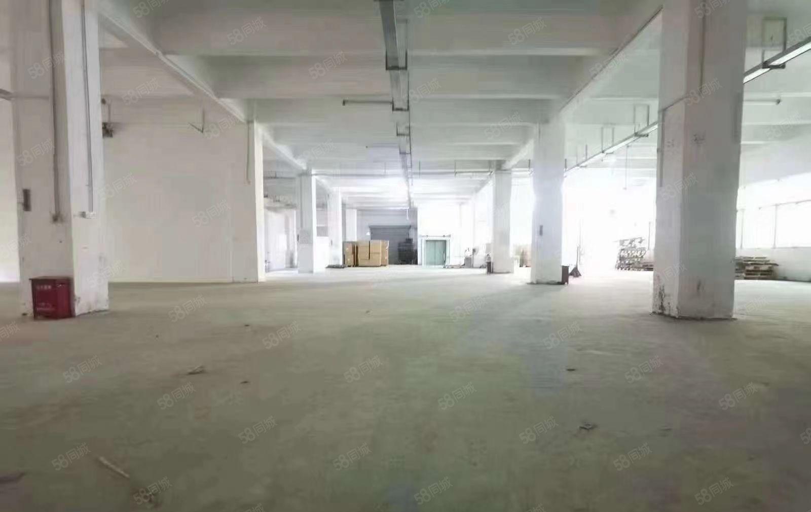 层高6米以上，福永怀德一楼1500平红本厂房出租可做物流注塑