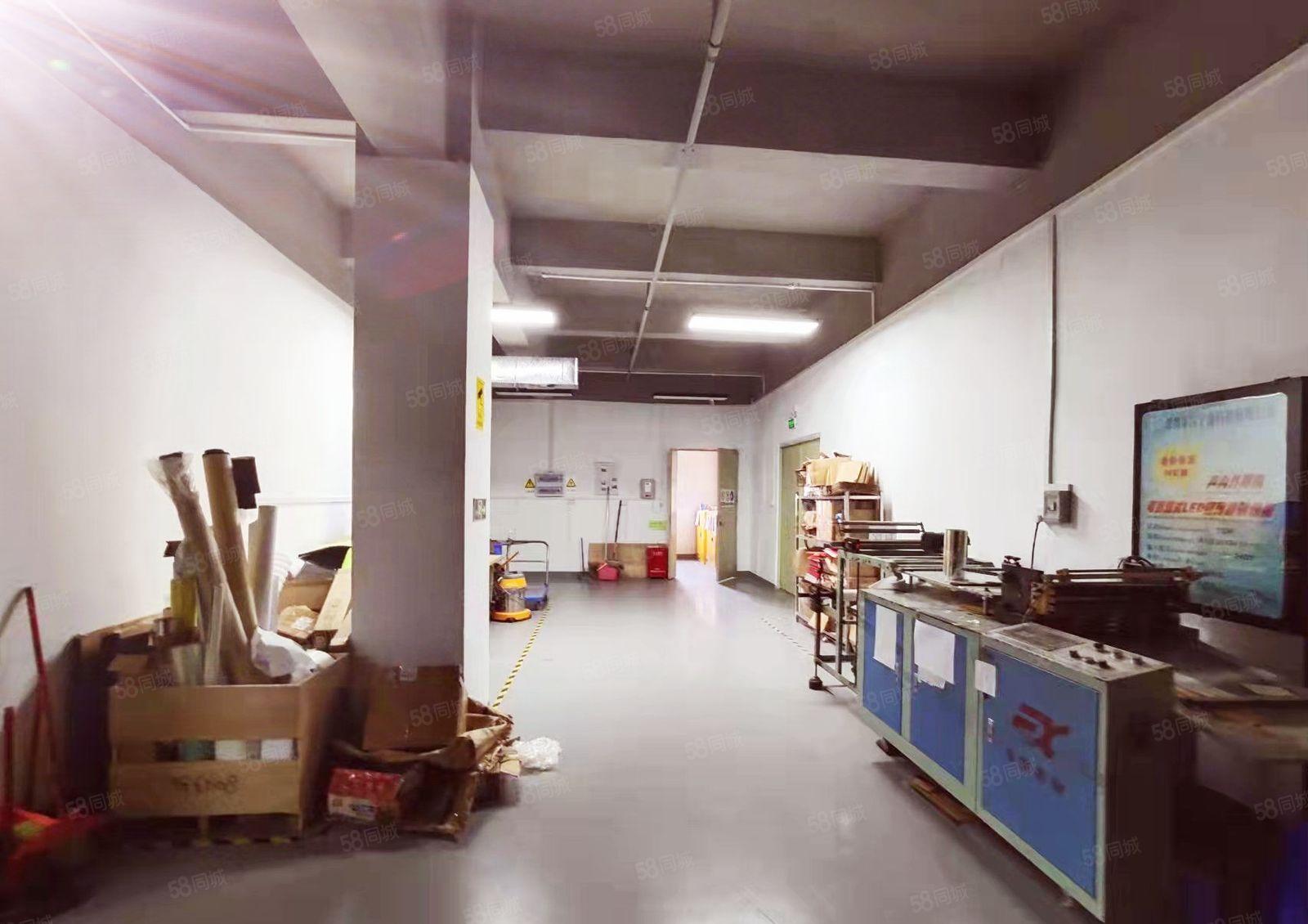 福永凤凰楼上300平，精装修，无需转让费