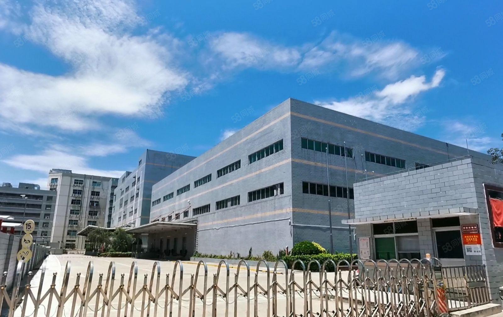 (出租)石岩高新工业园2000平带精装修办公一楼仓库可整可分