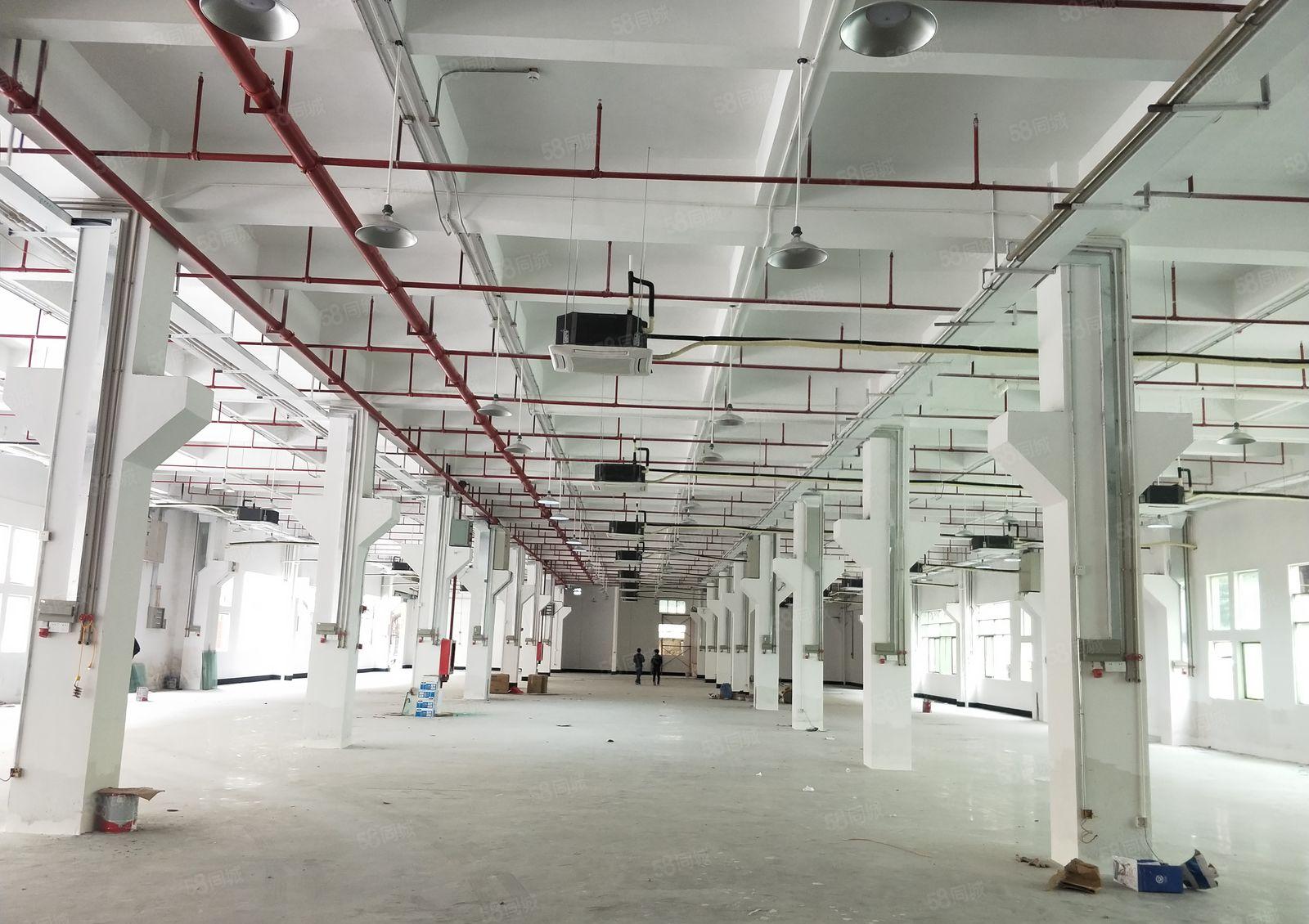 福永原房东一楼层高六米整层1500平实际面积出租能进出拖头