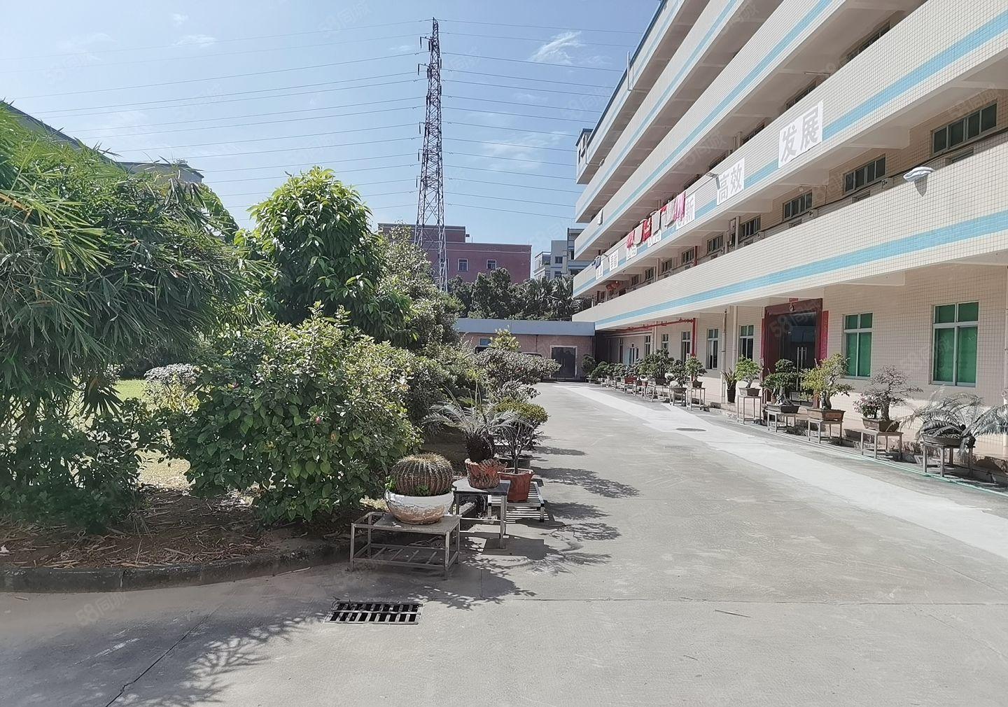 200起分福永凤凰工业区原房东工业园区一楼二楼厂房出租可分租