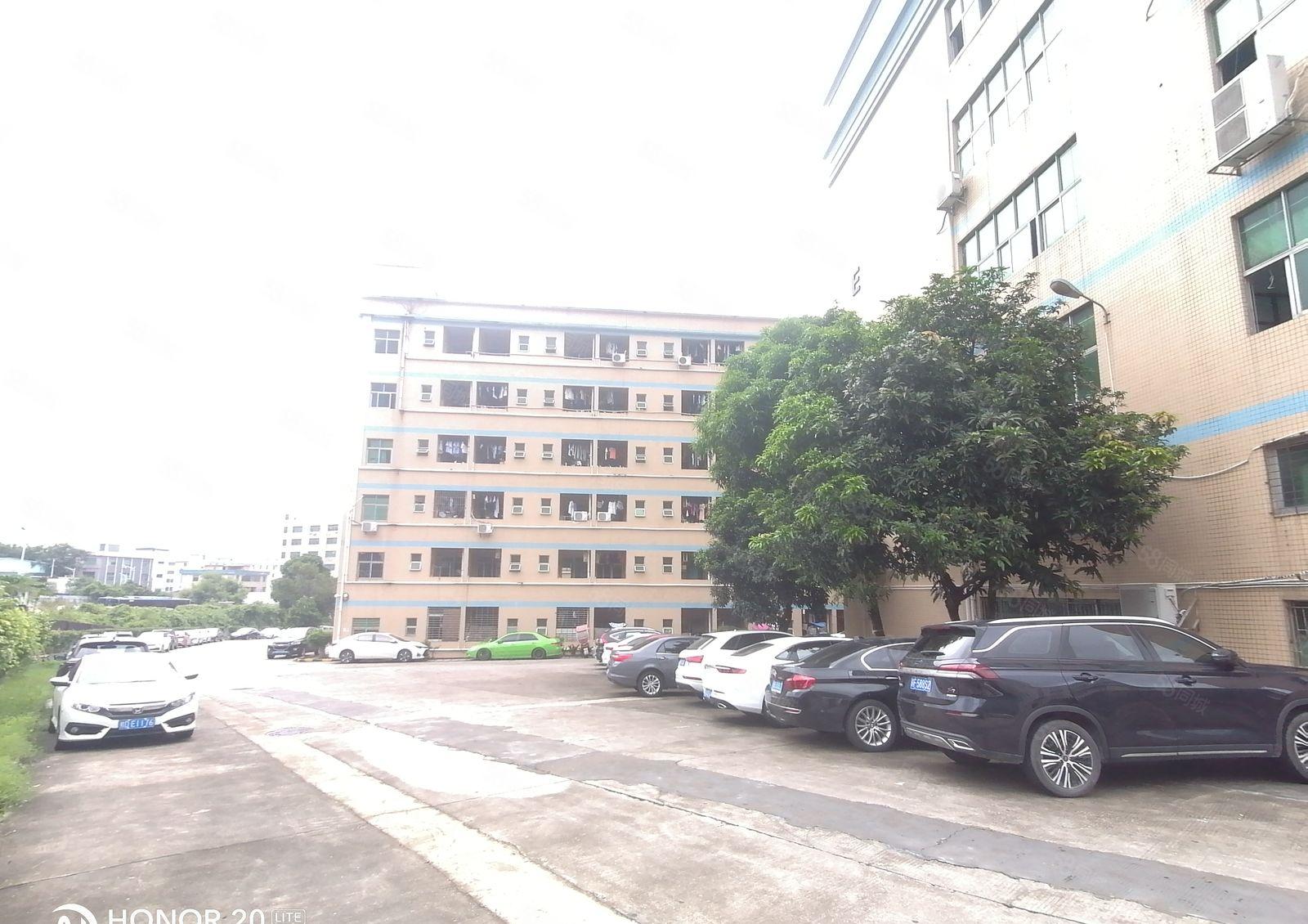 西乡主干道边上独院9000平13200平22200平出租