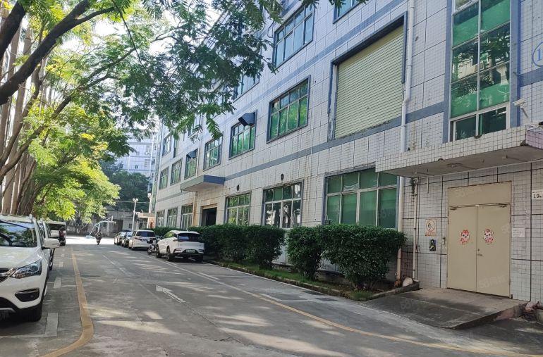 福永凤凰一楼1380平米带装修厂房出租