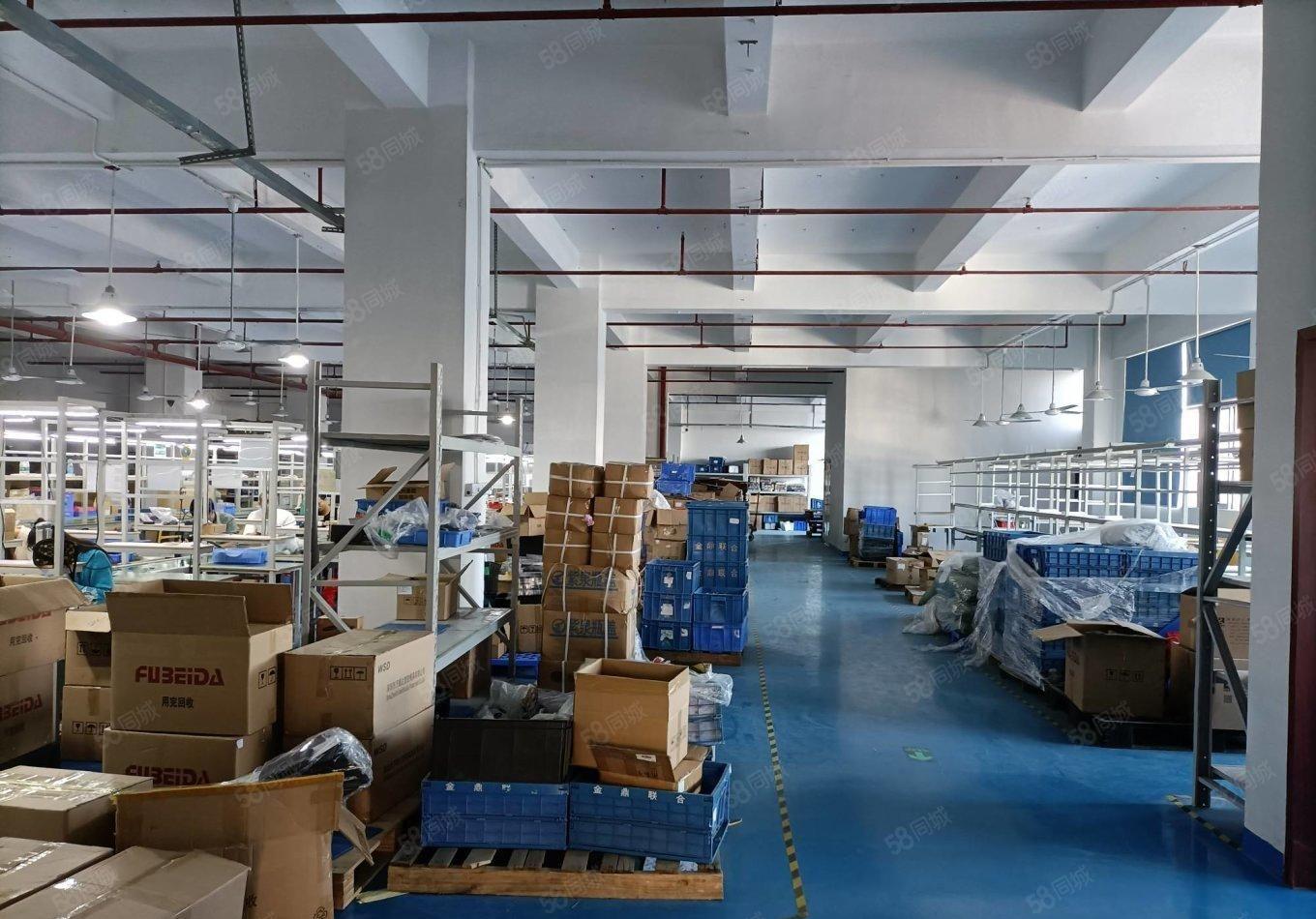 石岩原房东精装1000平实际面积厂房出租分租转租合租一楼仓库