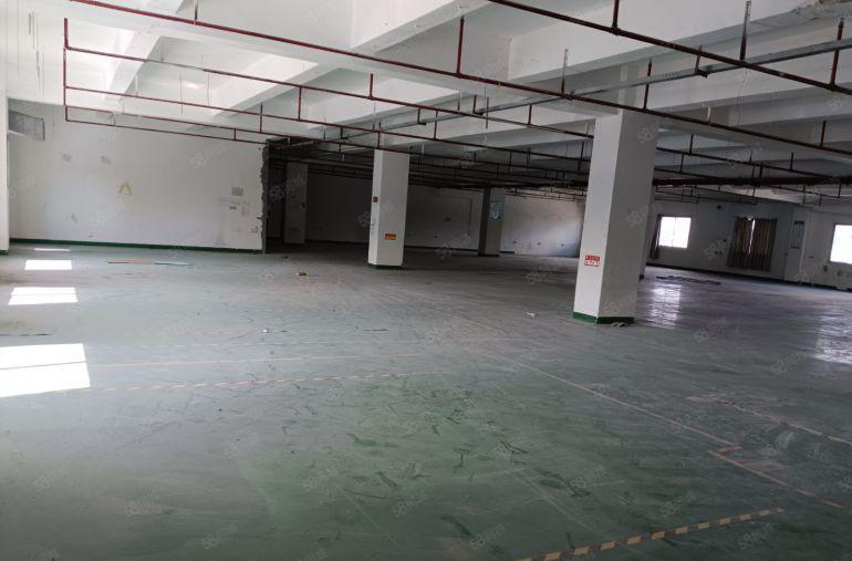 西乡黄田原房东独门独院楼上整层2450平，可分租