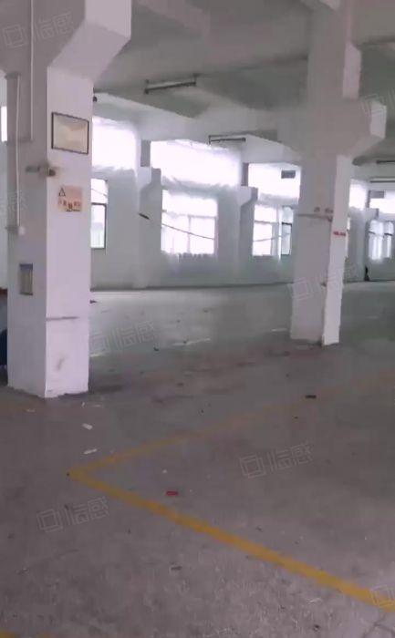 沙井新出独院3300平方厂房仓库出租可以分租能办环评交通方便