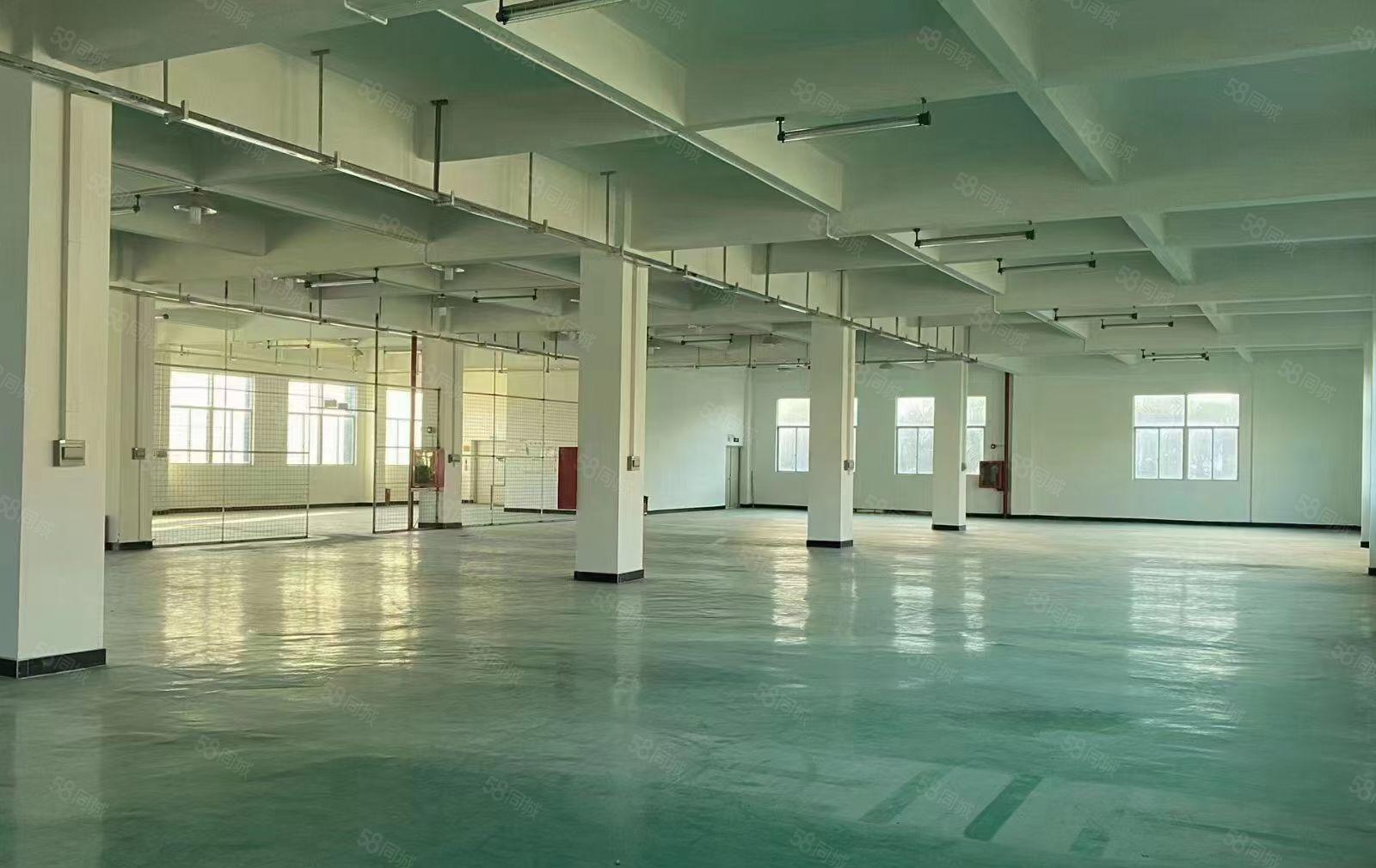 松岗东方新出独院厂房7250平方出租可分租