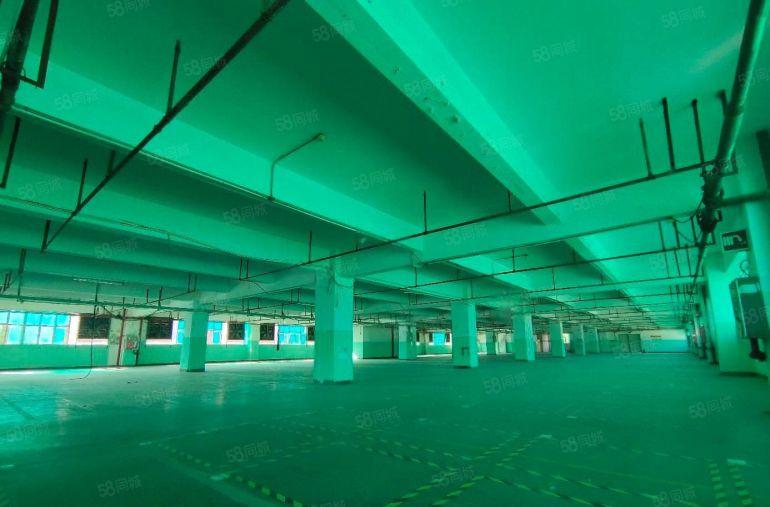 石岩地铁口旁原房东重工业厂房5000平方出租可分租可办环评