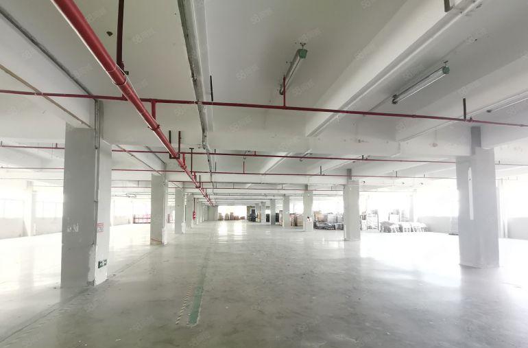 福永6000平独门独院厂房出租可分租2000平起