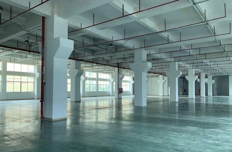 洪田共和3万平方大型工业园红本厂房低价出租 500平起租