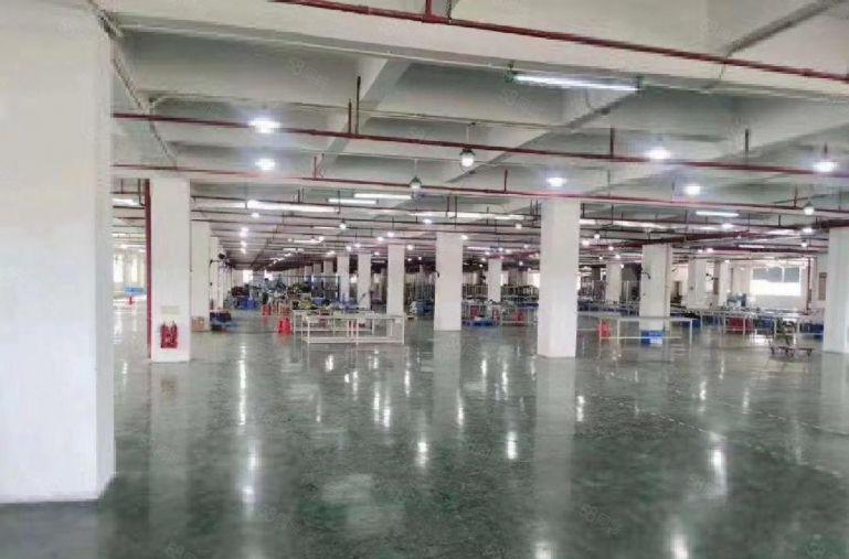 西乡固戍科技园新出原房东红本独栋厂房出租10000平大小分租