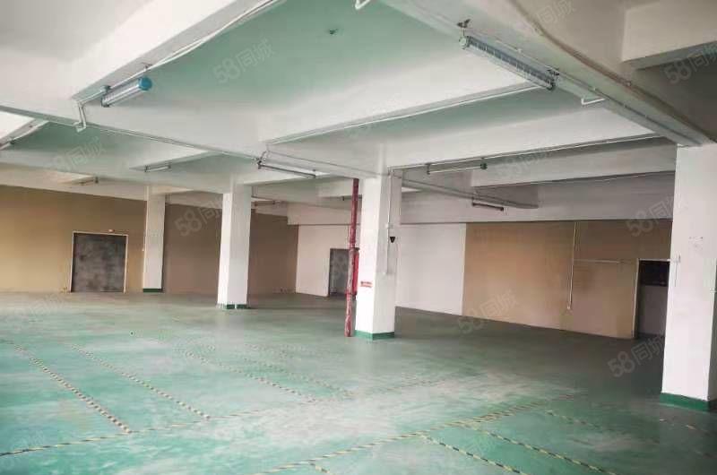 宝安西乡九围大型园区钢结构300到2000平招租面积大小可分