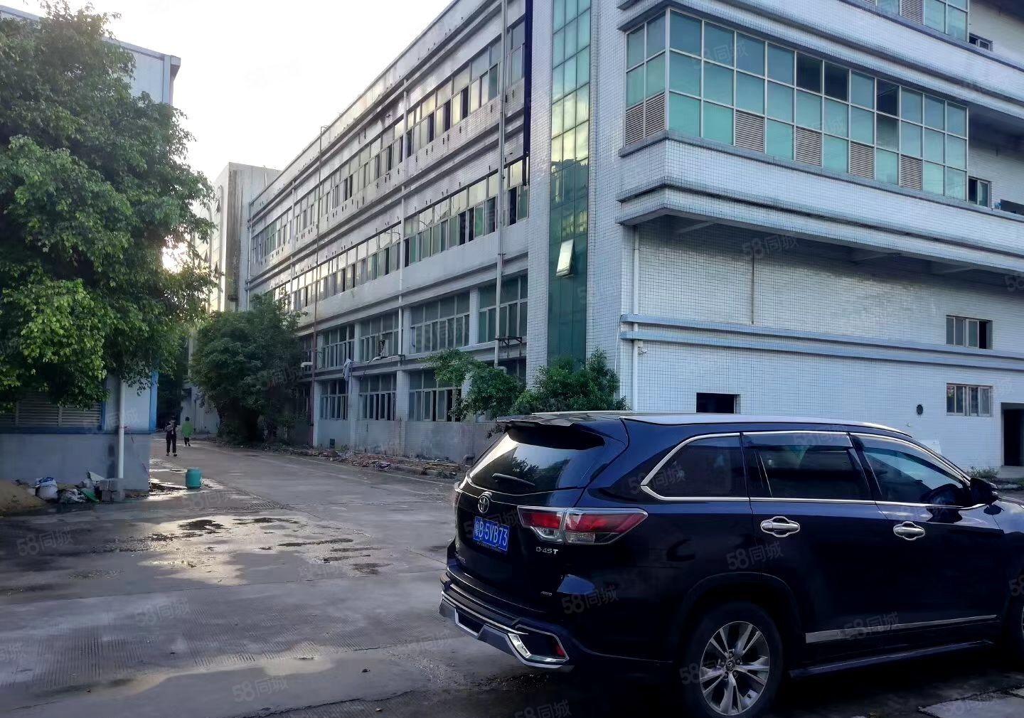 松岗地铁口楼上2050平带精装修 厂房出租