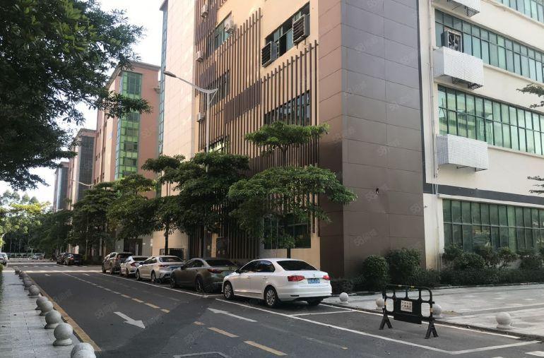 沙井共和独门独院精装1000平电子办公研发厂房低价出租仓库