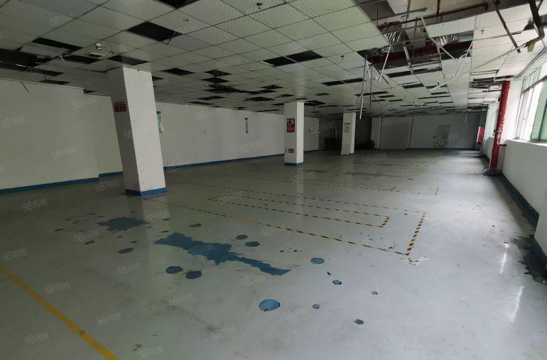 固戍480平大园区停车位多厂房出租