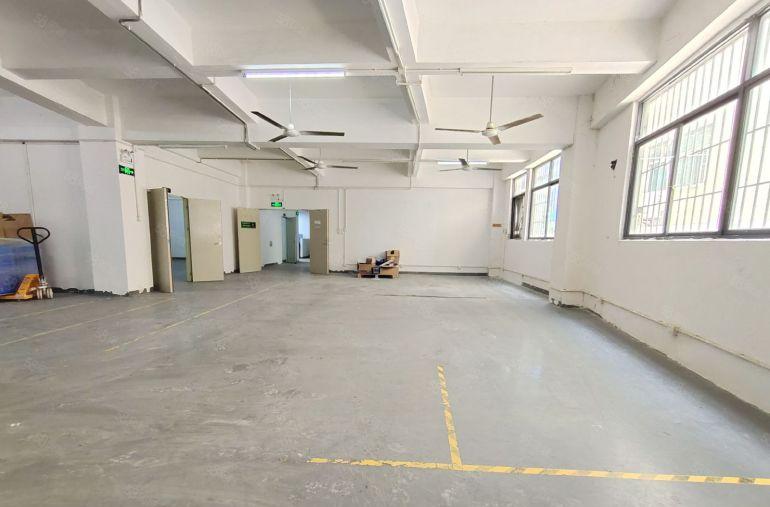 特价一楼26元，固戍一楼600平，800平厂房仓库，水电齐全