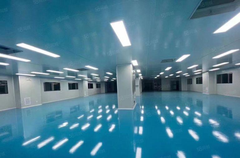 松岗大田洋工业区1000平原房东有红本厂房仓库低价出租招租