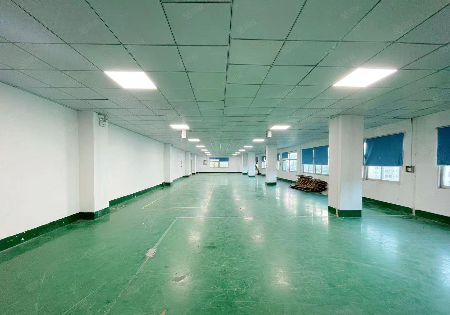 九围勒竹角2000平米带装修厂房出租