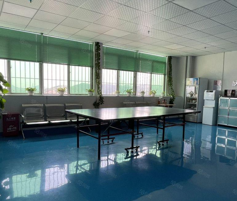 整层1700平，石岩水田一手房东，精装办公加无尘车间，已空置