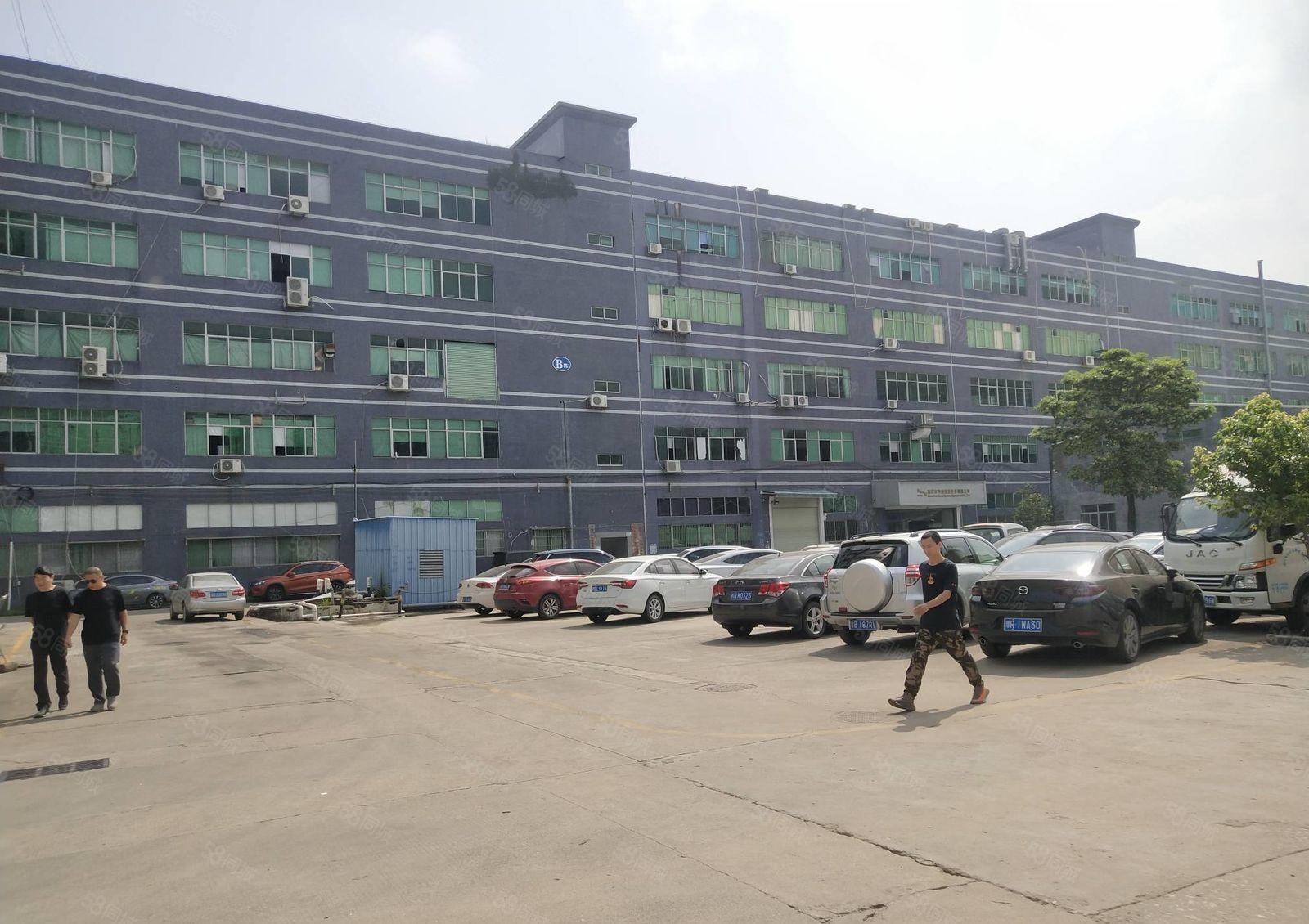 可分租石岩上屋原房东工业园精装修1000平办公室仓库厂房出租