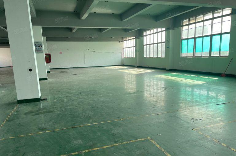 1500平方南环路边精装修厂房出租价格便宜适合各种行业