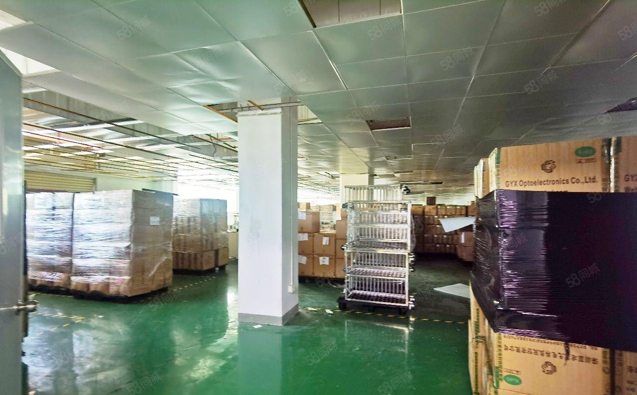 红本独门独院厂房，福永福海街道展城社区，高新园区，有消防批文