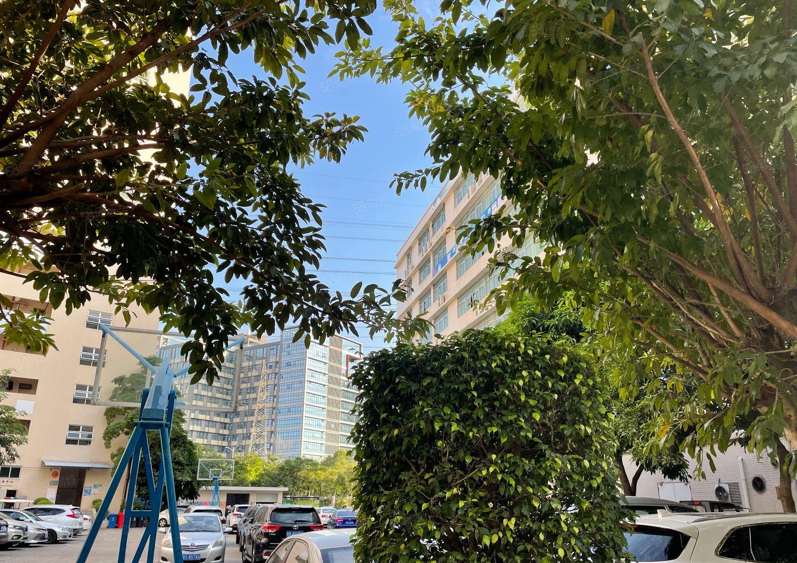 兴东地铁站1800平整层原房东红本厂房出租