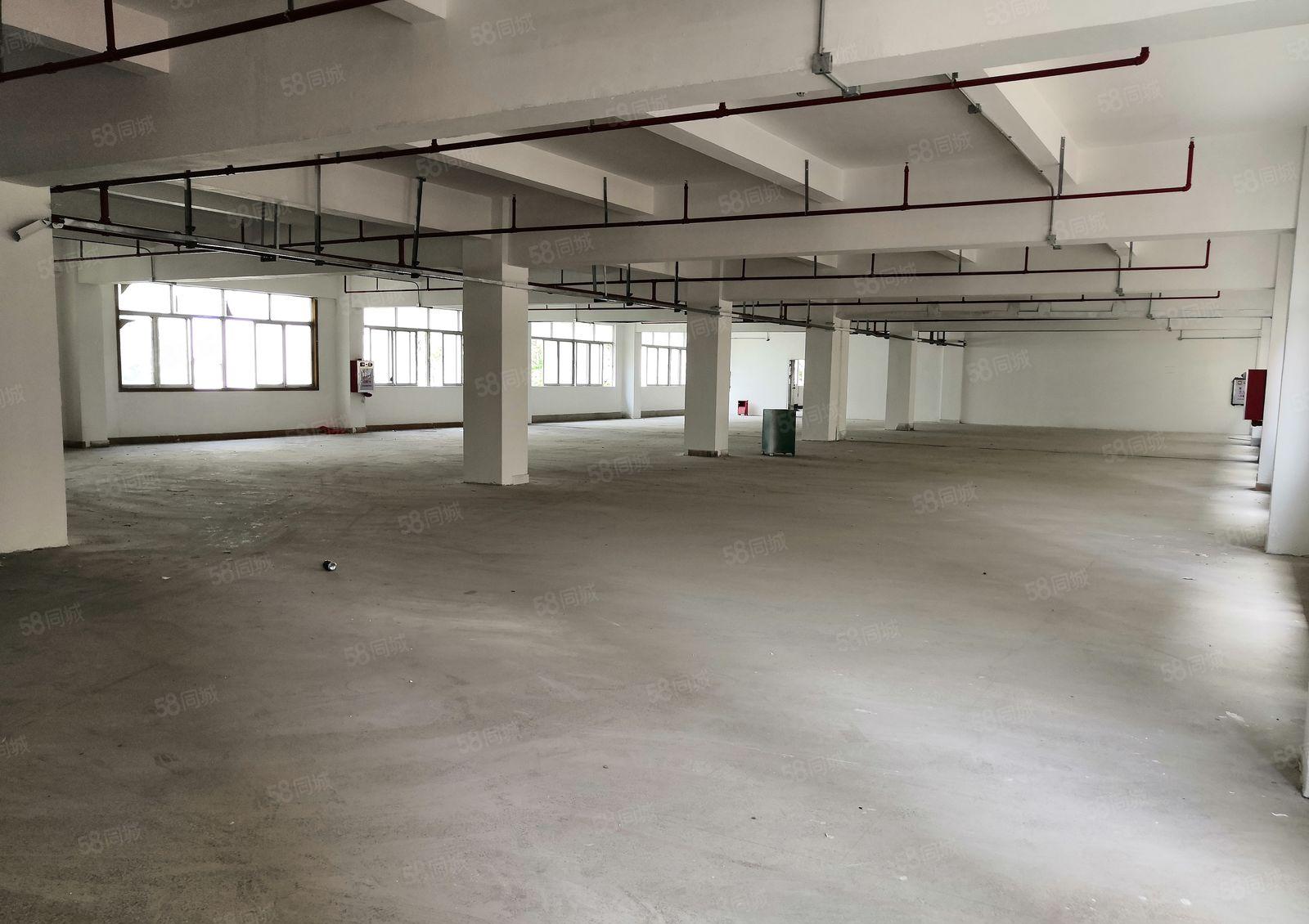 新安洪浪北楼上厂房1750平，大小分租。适合仓库或生产