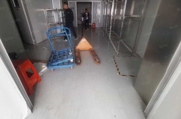 西乡鹤州桥底高新园区楼上整层精装修无尘车间1786平无转让费